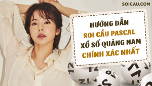 Hướng dẫn kỹ thuật pascal Quảng Nam chuẩn năm 2025
